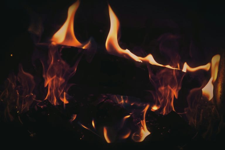 Exciting Free Fire Upcoming Features Revealed